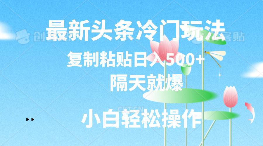最新头条冷门玩法，隔天就爆，复制粘贴日入500+-泡泡网赚