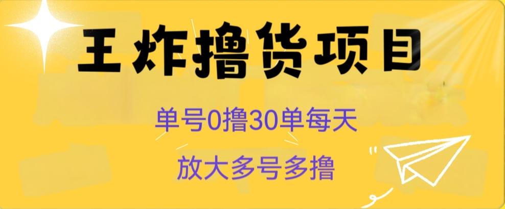 王炸撸货项目，单号0撸30单每天，多号多撸【揭秘】-泡泡网赚