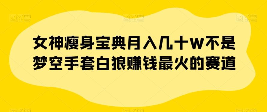 女神瘦身宝典月入几十W不是梦空手套白狼赚钱最火的赛道【揭秘】-泡泡网赚