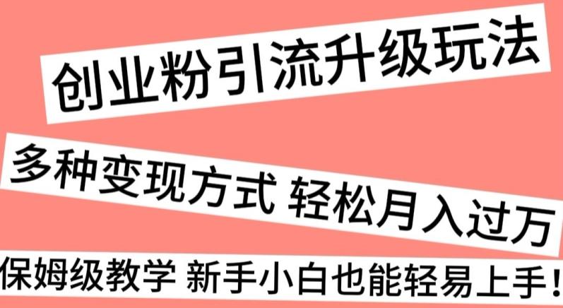 创业粉引流升级玩法，多种变现方式轻松月入过万，保姆级教学新手小白也能轻易上手！-泡泡网赚