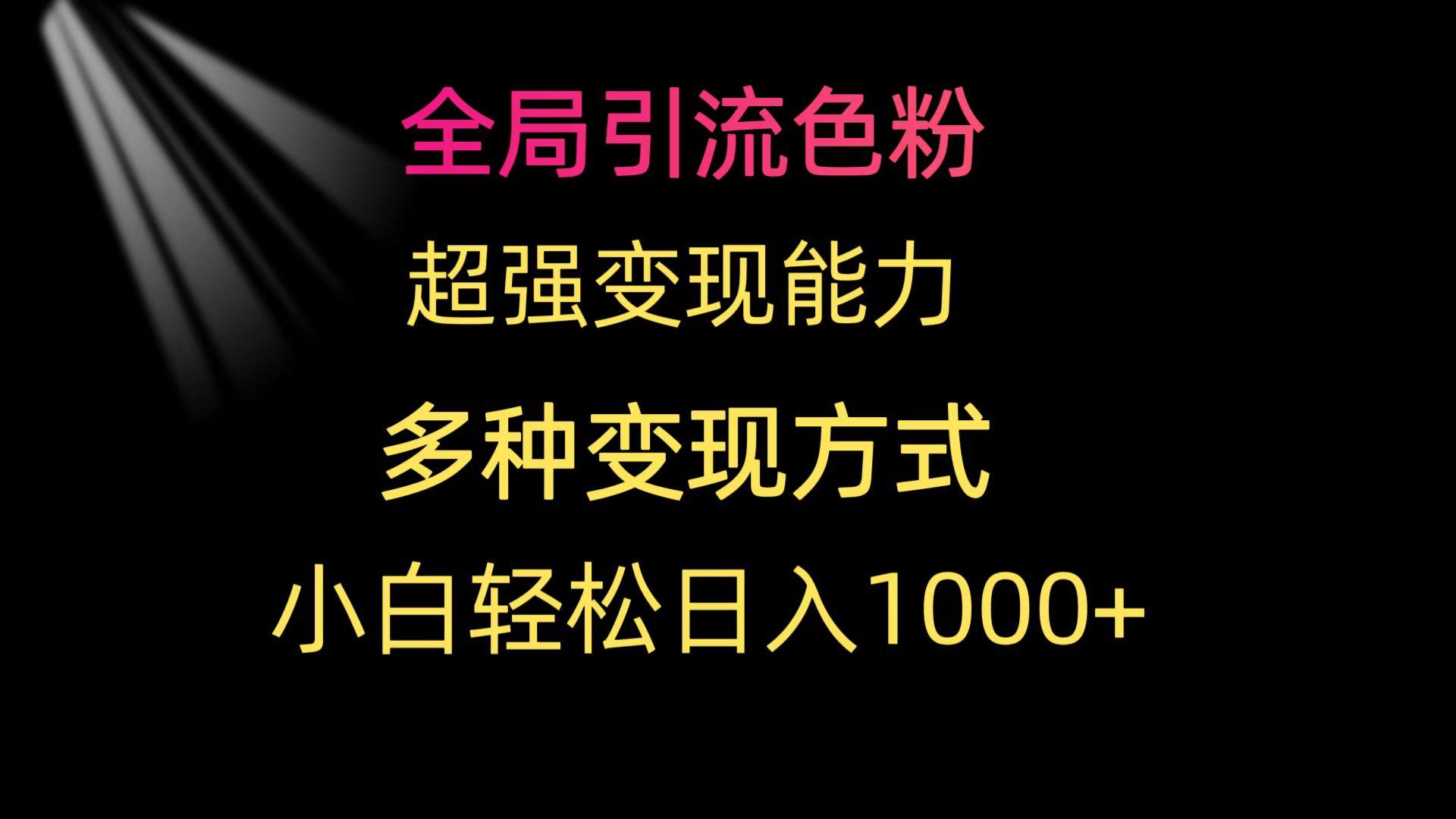 (9680期)全局引流色粉 超强变现能力 多种变现方式 小白轻松日入1000+-泡泡网赚