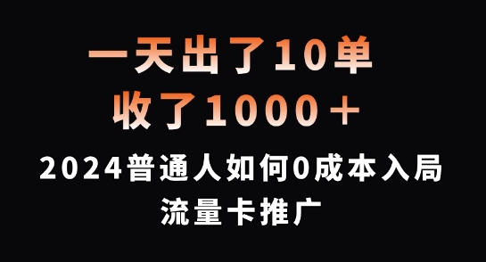 一天出了10单，收了1000+，2024普通人如何0成本入局流量卡推广【揭秘】-泡泡网赚