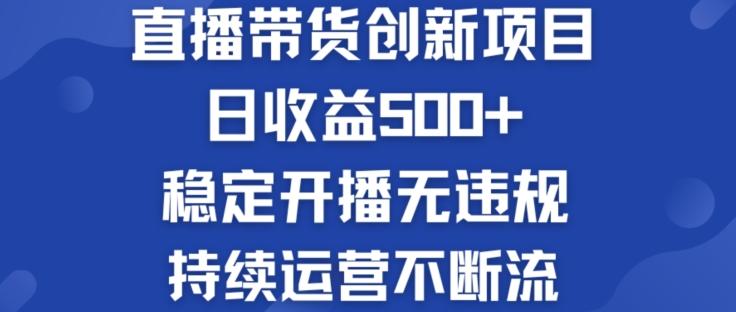 淘宝无人直播带货创新项目：日收益500+  稳定开播无违规  持续运营不断流【揭秘】-泡泡网赚