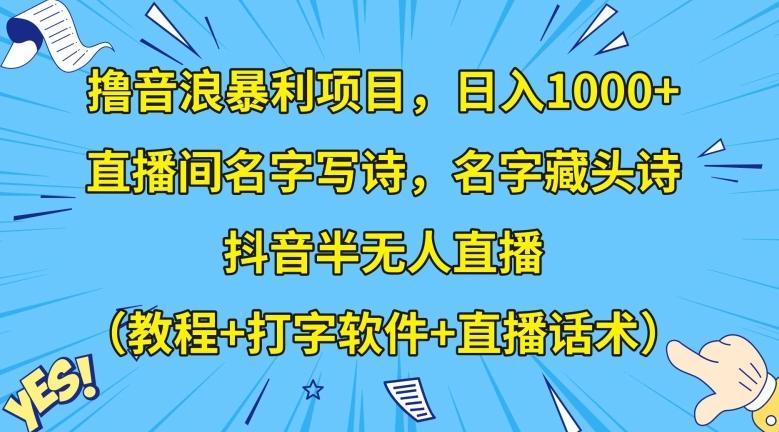 撸音浪暴利项目，日入1000+，直播间名字写诗，名字藏头诗，抖音半无人直播（教程+打字软件+直播话术）【揭秘】-泡泡网赚