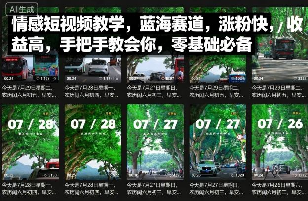 情感短视频教学，蓝海赛道，涨粉快，收益高，手把手教会你，零基础必备-泡泡网赚