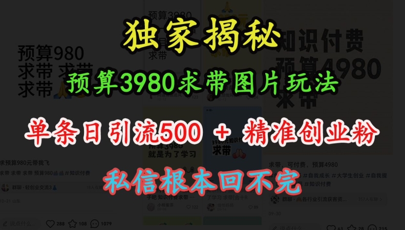 预算3980求带 图片玩法，单条日引流500+精准创业粉，私信根本回不完-泡泡网赚