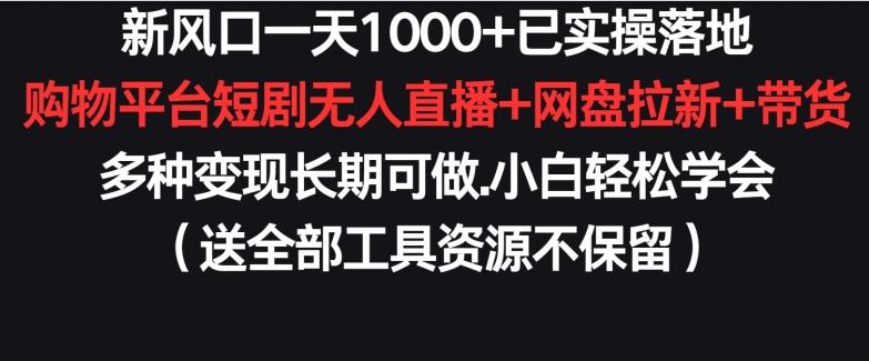 新风口一天1000+已实操落地购物平台短剧无人直播+网盘拉新+带货多种变现长期可做【揭秘】-泡泡网赚