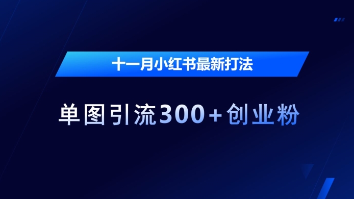 十一月小红书最新打法，单图引流300+创业粉【揭秘】-泡泡网赚