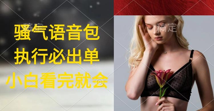 (9589期)执行就出单，日入2000+，超火骚气语音包，小白看完课程就能马上实操-泡泡网赚