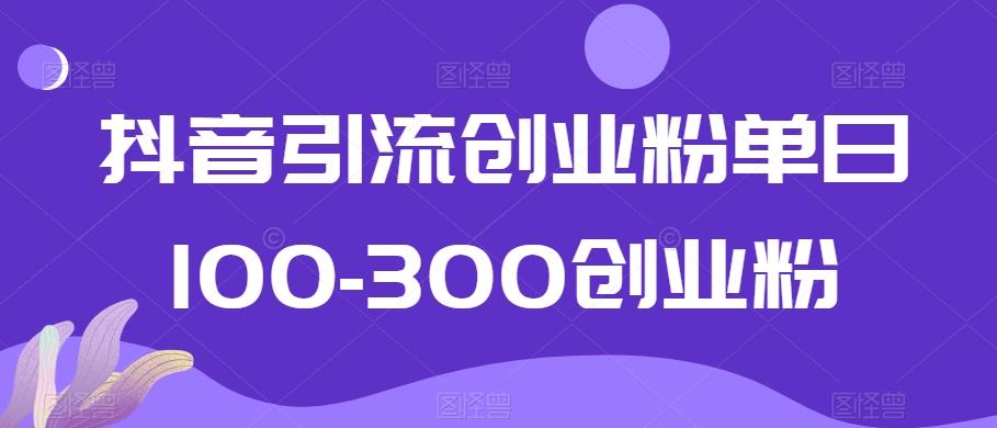 抖音引流创业粉单日100-300创业粉【揭秘】-泡泡网赚