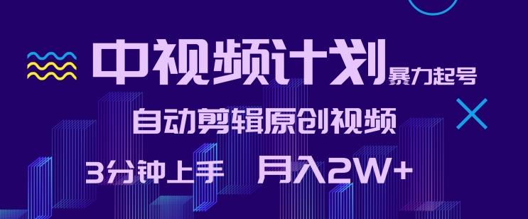 中视频计划暴力起号，自动剪辑原创视频，3分钟上手，月入2W+【揭秘】-泡泡网赚
