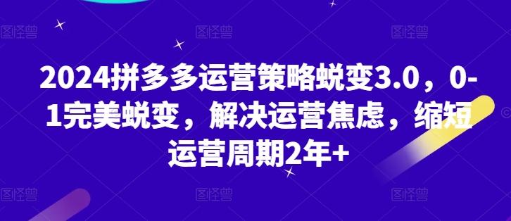 2024拼多多运营策略蜕变3.0，0-1完美蜕变，解决运营焦虑，缩短运营周期2年+-泡泡网赚