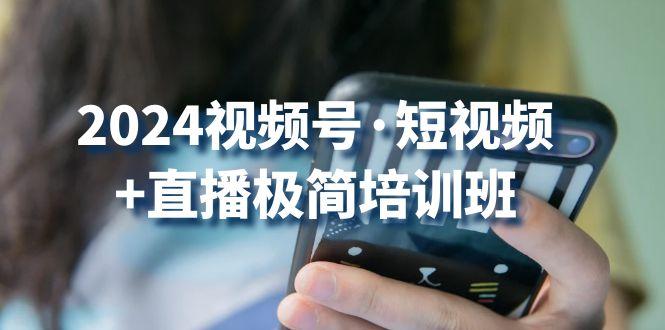 2024视频号·短视频+直播极简培训班：抓住视频号风口，流量红利-泡泡网赚