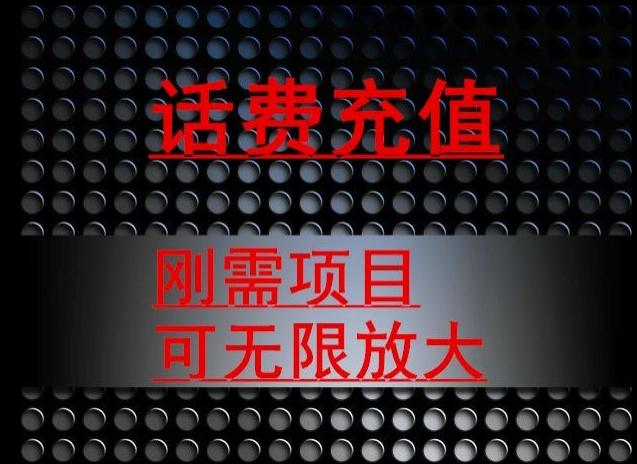 最新蓝海项目，刚需赛道，95折充话费月入5位数-泡泡网赚