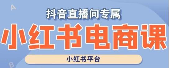 小红书电商高级运营课程，实操教学+案例分析-泡泡网赚