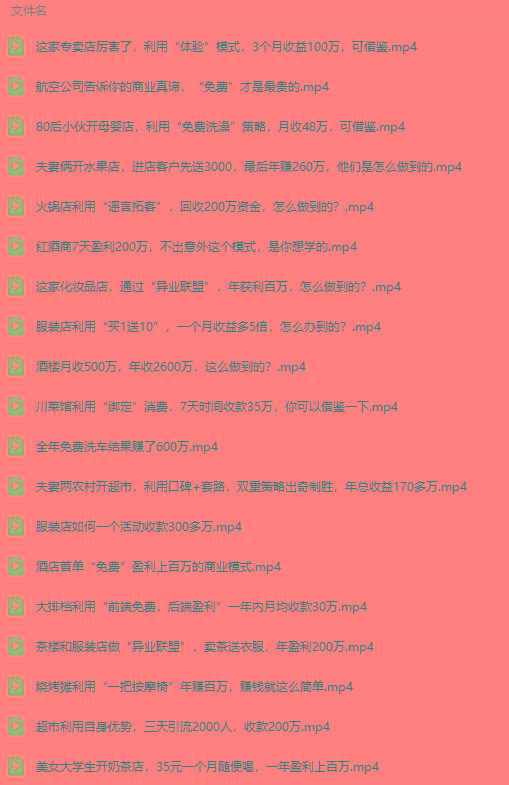 图片[5]-(9607期)真实有效391套商业模式，年入几十到几百万案例解析(电子书+视频+图文)-泡泡网赚