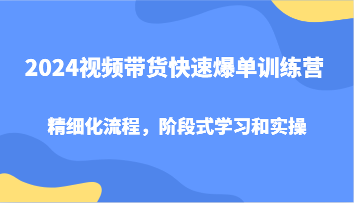 2024视频带货快速爆单训练营，精细化流程，阶段式学习和实操-泡泡网赚