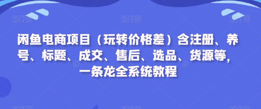闲鱼电商项目(玩转价格差)含注册、养号、标题、成交、售后、选品、货源等，一条龙全系统教程-泡泡网赚