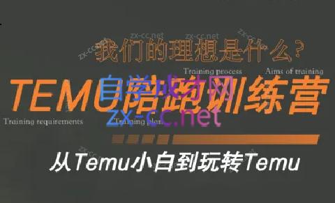苗苗·拼多多跨境（temu）课程-泡泡网赚