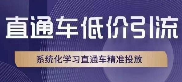 直通车低价引流课，系统化学习直通车精准投放-泡泡网赚