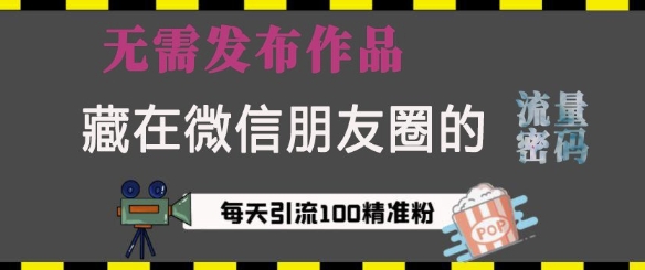 藏在微信朋友圈的流量密码，无需发布作品，单日引流100+精准创业粉【揭秘】-泡泡网赚