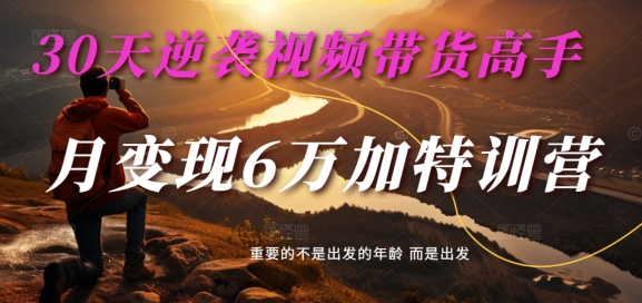30天逆袭视频带货高手，单月变现6万加特训营-麦子甜-泡泡网赚