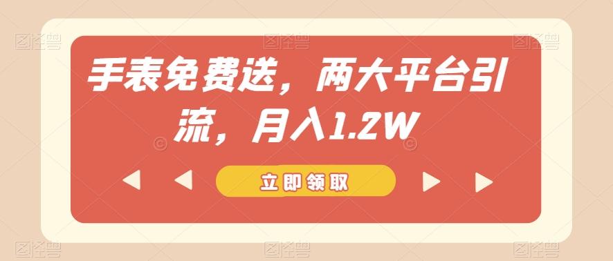 手表免费送，两大平台引流，月入1.2W【揭秘】-泡泡网赚