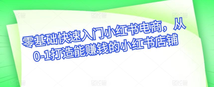 零基础快速入门小红书电商，从0-1打造能赚钱的小红书店铺-泡泡网赚