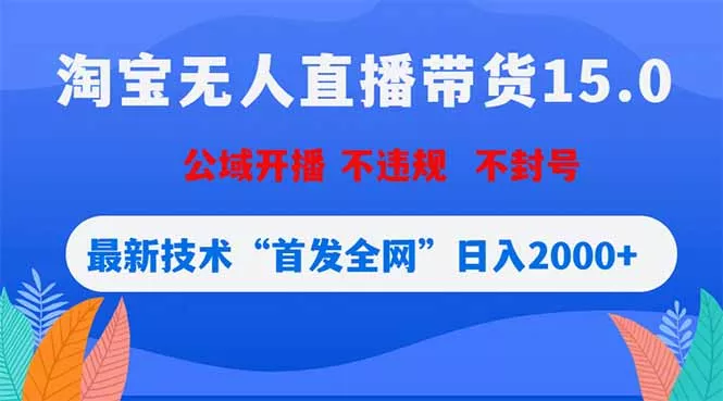 淘宝无人直播带货15.0，不封号，不违规，公域玩法，首发全网日入2000+-泡泡网赚