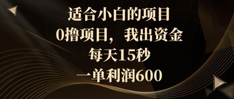 适合小白的项目，0撸项目，我出资金，每天15秒，一单利润600-泡泡网赚