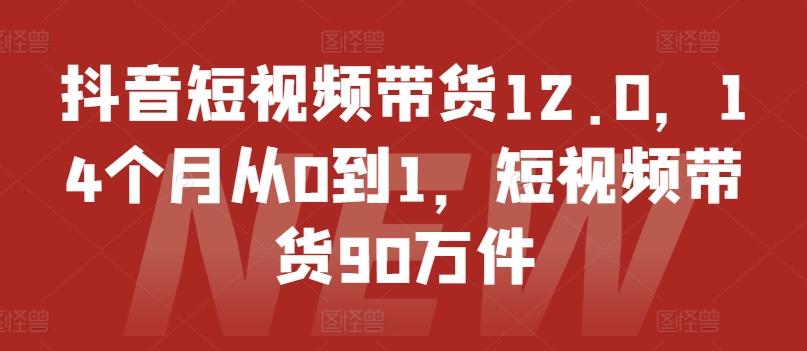 抖音短视频带货12.0，14个月从0到1，短视频带货90万件-泡泡网赚