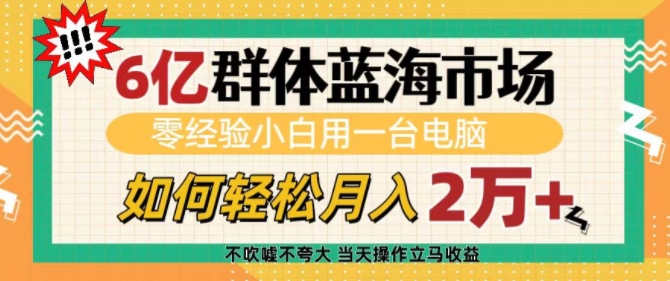 6亿群体蓝海市场，零经验小白用一台电脑，如何轻松月入过w【揭秘】-泡泡网赚