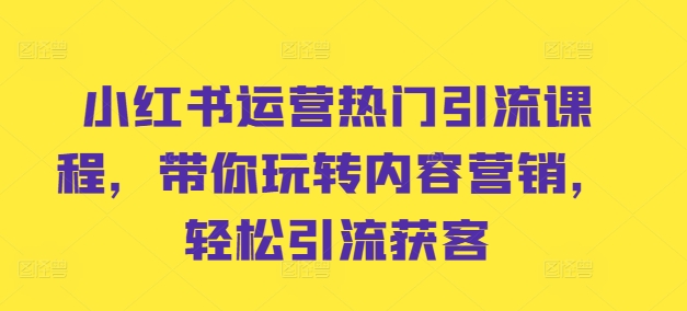 小红书运营热门引流课程，带你玩转内容营销，轻松引流获客-泡泡网赚