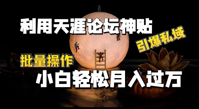 利用天涯论坛神贴，引爆私域，批量操作，小白轻松月入过w【揭秘】-泡泡网赚