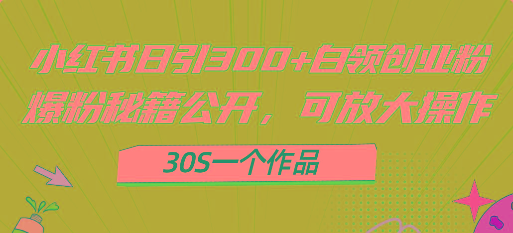 小红书日引300+高质白领创业粉，可放大操作，爆粉秘籍！30s一个作品-泡泡网赚