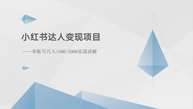 小红书达人变现项目：单账号月入1500-3000实战讲解-泡泡网赚