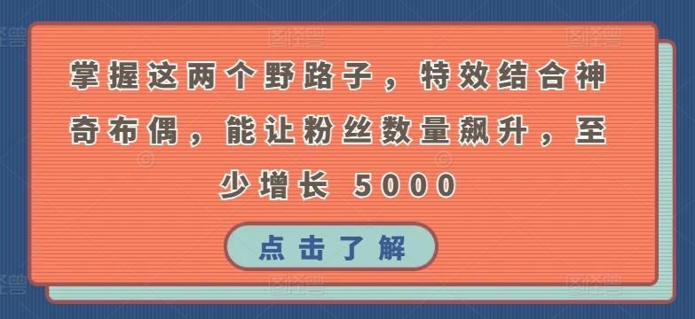 掌握这两个野路子，特效结合神奇布偶，能让粉丝数量飙升，至少增长 5000【揭秘】-泡泡网赚