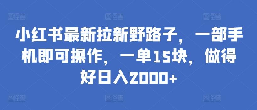 小红书最新拉新野路子，一部手机即可操作，一单15块，做得好日入2000+【揭秘】-泡泡网赚
