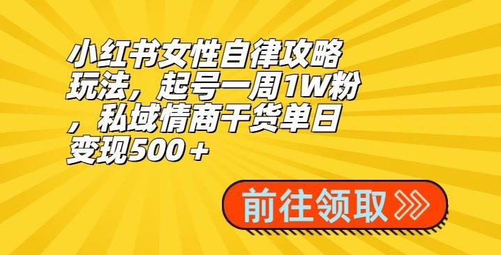 小红书女性自律攻略玩法，起号一周1W粉，私域情商干货单日变现500＋-泡泡网赚