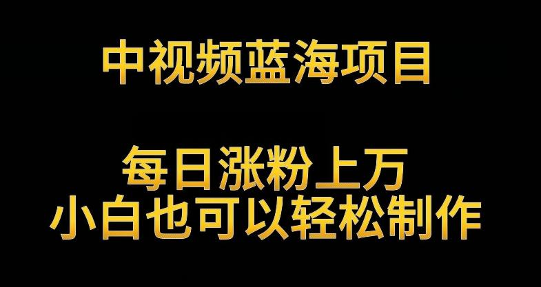 中视频蓝海项目，解读英雄人物生平，每日涨粉上万，小白也可以轻松制作，月入过万不是梦【揭秘】-泡泡网赚