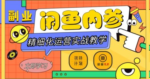 闲鱼精细化运营入门+高阶实战教学，从底层逻辑到轻松变现，多维度玩转闲鱼副业-泡泡网赚