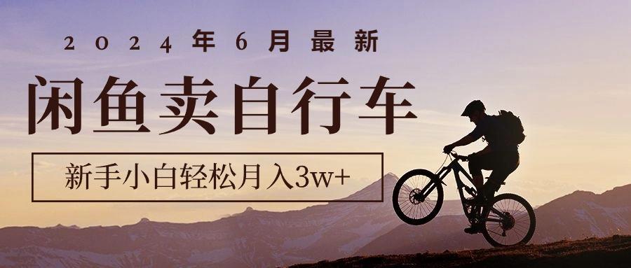 2024年6月最新闲鱼卖自行车，新手小白轻松月入3w+项目-泡泡网赚
