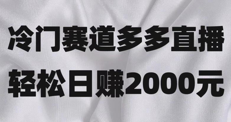 冷门赛道拼多多直播，简单念稿子，日收益2000＋【揭秘】-泡泡网赚