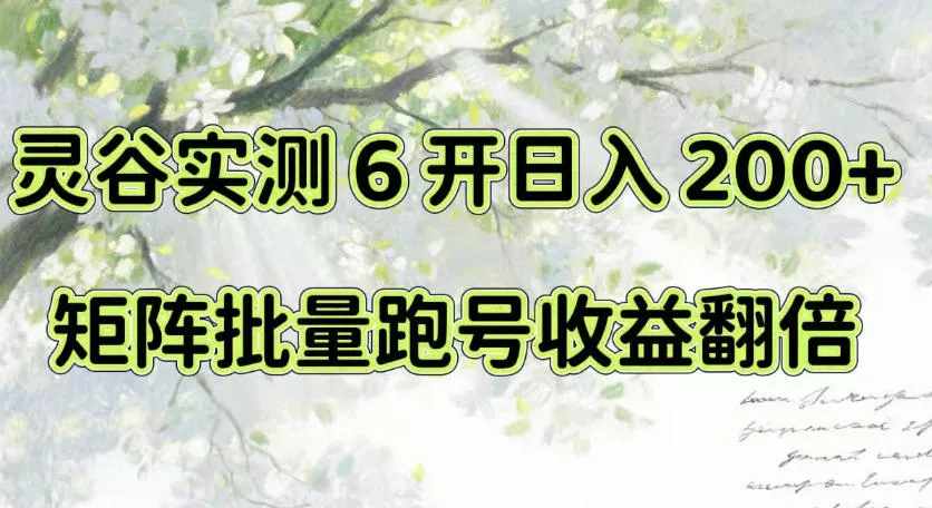 一台电脑就能做！灵谷实测6开日入200+，矩阵批量跑号收益翻倍【揭秘】-泡泡网赚