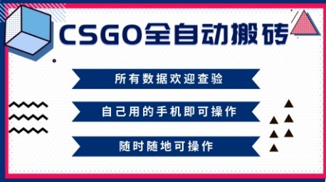 CSGO全自动搬砖，年底钱回家好项目，当天可拿到结果，新手小白轻松月入1W+【揭秘】-泡泡网赚