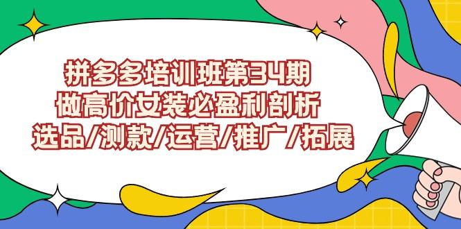 (9333期)拼多多培训班第34期：做高价女装必盈利剖析  选品/测款/运营/推广/拓展-泡泡网赚
