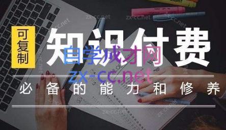 君哥·IP合伙人知识付费虚拟项目(更新24年6月)-泡泡网赚