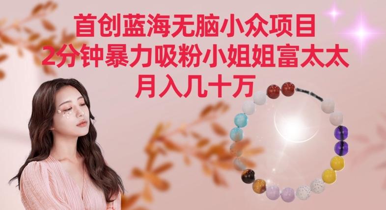 首创蓝海无脑小众项目，2分钟暴力吸粉小姐姐富太太，月入几十万【揭秘】-泡泡网赚