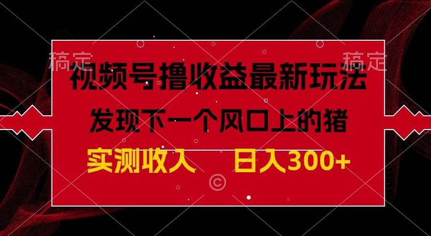 视频号分成计划最新玩法，单条作品几分钟制作完成,日入300+，过年前最后的冲刺-泡泡网赚