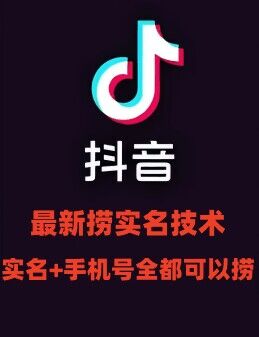 最新技术抖音捞实名+捞手机号技术，抖音直播封禁释放十名/手机号，直接替换出来!-泡泡网赚